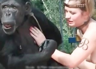Zoo Zoo Sex Porn